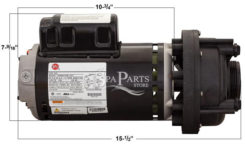SUNDANCE SPA® 2-1/2 HP 2 SPEED 240 VOLT Hot TUB PUMP AND MOTOR 6500-228 